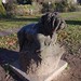 Dan Robertson Photo 18