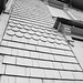 Randall Wire Photo 5
