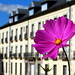 Rosa Segovia Photo 13