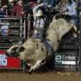 Doug Garland Photo 11
