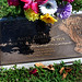 Anita Carter Photo 31