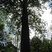 Darrell Stephenson Photo 15
