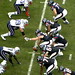 Duane Myers Photo 23