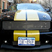 Jan Shelby Photo 12