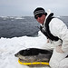 Shawn Seals Photo 28