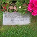 Brenda Haynes Photo 13