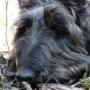 Debbie Casteel Photo 23
