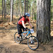 Forrest Rodgers Photo 8