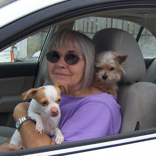 Nancy Chambers Photo 11