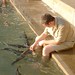 Lee Fish Photo 13