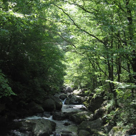 Chris Quarles Photo 4