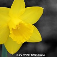 Rebecca Clough Photo 11