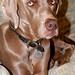 Geoffrey Gray Photo 32