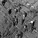 Harold Welsh Photo 9