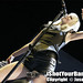 Jason Moss Photo 31