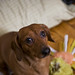 Wendy Weiner Photo 32
