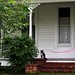 Anne Cavanaugh Photo 15