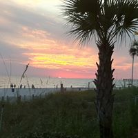 Ann Herbert Photo 13