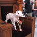 Stephen Weber Photo 56