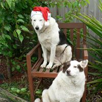 Belinda Slater Photo 6
