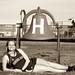 Francine Fields Photo 9