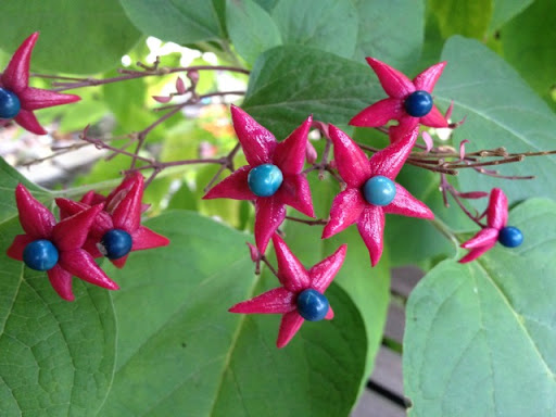 Linda Mcgrew Photo 18