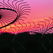 Lori Funk Photo 22