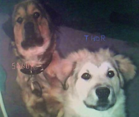 Terry Bell Photo 40