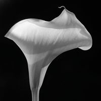 Thomas Richey Photo 43