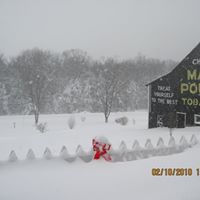 Marilyn Hamm Photo 20