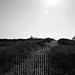 Joseph Burkhart Photo 26
