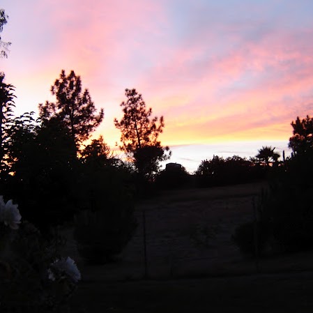 James Musgrove Photo 38