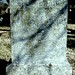 George Mcdaniel Photo 19