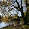 Susan Lund Photo 21