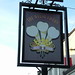 Kent Welsh Photo 10