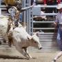 Josh Griggs Photo 31