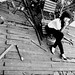 Louis Hoang Photo 24