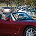 Jane Mcclelland Photo 12