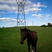 Doreen Power Photo 12