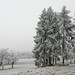 Nicole Frost Photo 41