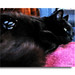 Heidi Black Photo 43