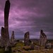Lewis Stone Photo 31