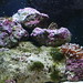 Debbie Fish Photo 22