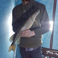 Stephen Ewald Photo 4