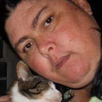 Cindy Whitaker Photo 28