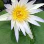 Judy Watt Photo 16