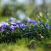 Shelley Parks Photo 29