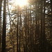 Angela Pickens Photo 19