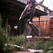 Michael Paynter Photo 8