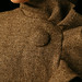 Allan Jenkins Photo 14